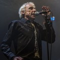 Click to enlarge GutterPunk - Professional Concert Photography